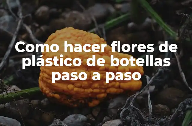 Como Hacer Flores de Plástico de Botellas Paso a Paso 2 Flores de plástico de botellas
