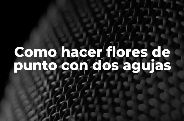 Como Hacer Flores de Punto con Dos Agujas