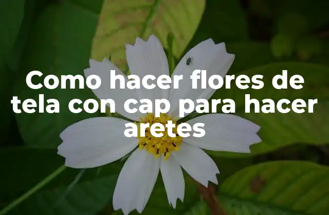 Como Hacer Flores de Tela con Cap para Hacer Aretes