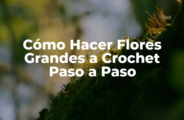Cómo Hacer Flores Grandes a Crochet Paso a Paso