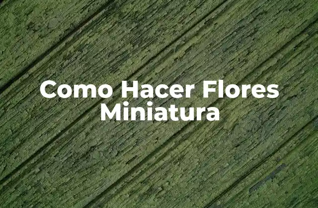 Como Hacer Flores Miniatura