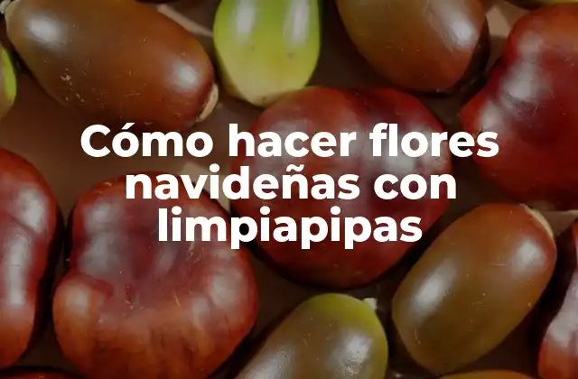 Cómo Hacer Flores Navideñas con Limpiapipas