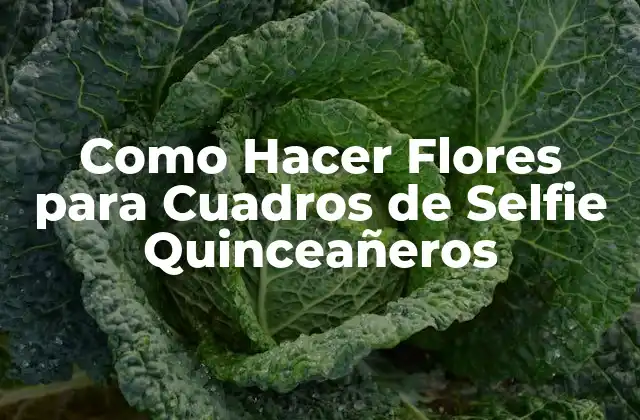 Como Hacer Flores para Cuadros de Selfie Quinceañeros