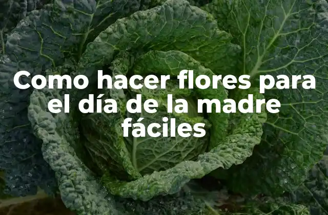 Como Hacer Flores para el Día de la Madre Fáciles
