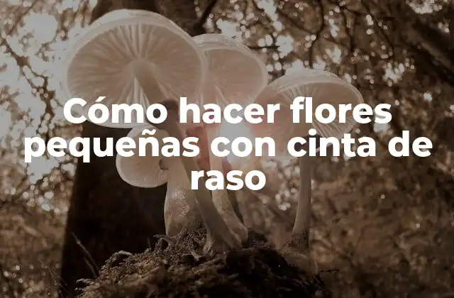 Cómo Hacer Flores Pequeñas con Cinta de Raso