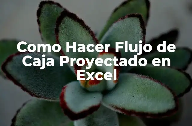 Como Hacer Flujo de Caja Proyectado en Excel