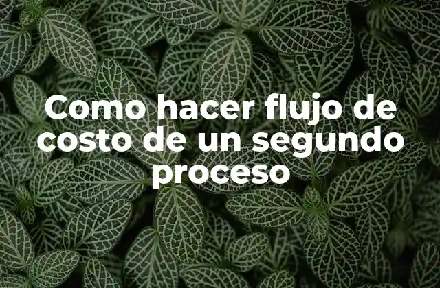 Flujo de costo de un segundo proceso