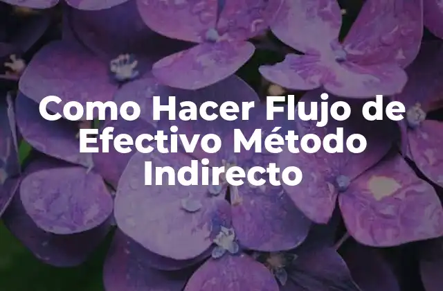 Como Hacer Flujo de Efectivo Método Indirecto