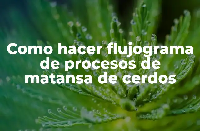 Como Hacer Flujograma de Procesos de Matansa de Cerdos 2 Flujograma de procesos de matansa de cerdos