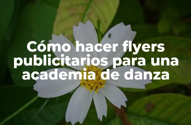 Cómo Hacer Flyers Publicitarios para una Academia de Danza