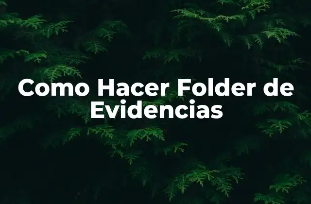 Como Hacer Folder de Evidencias