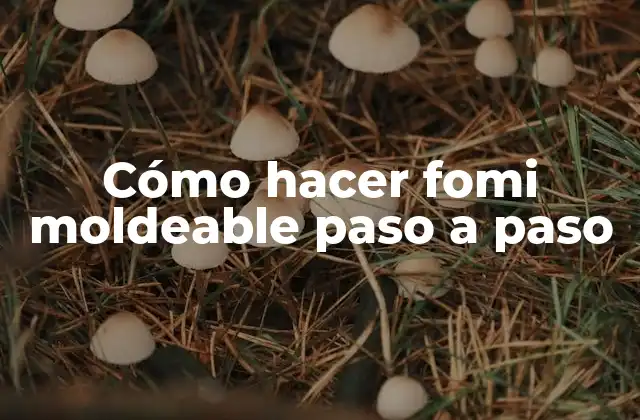 Cómo Hacer Fomi Moldeable Paso a Paso 2 Cómo hacer fomi moldeable paso a paso