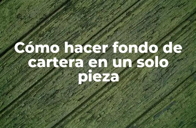 Cómo Hacer Fondo de Cartera en un Solo Pieza