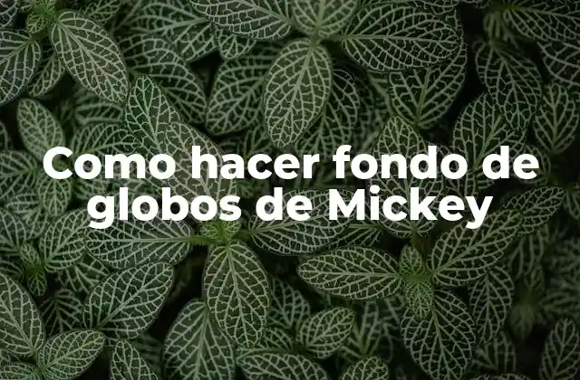 Como Hacer Fondo de Globos de Mickey 2 ¿Qué es un fondo de globos de Mickey?