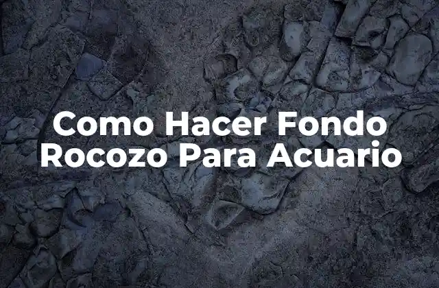 Como Hacer Fondo Rocozo para Acuario
