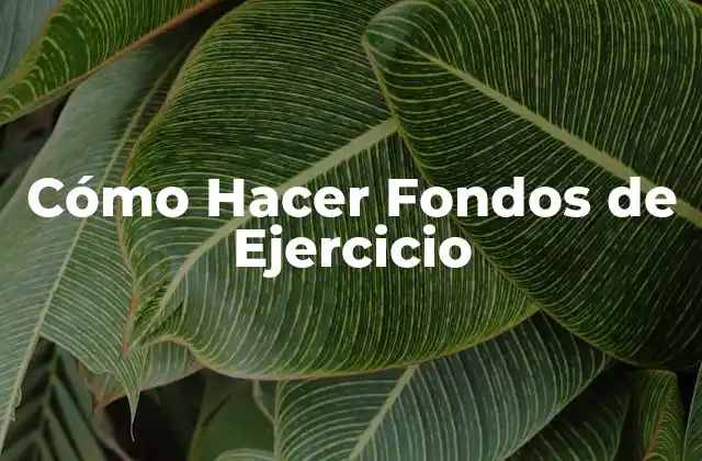 Cómo Hacer Fondos de Ejercicio