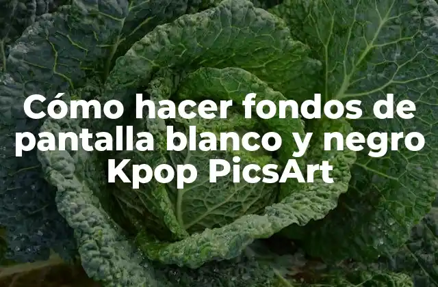 Cómo Hacer Fondos de Pantalla Blanco y Negro Kpop Picsart