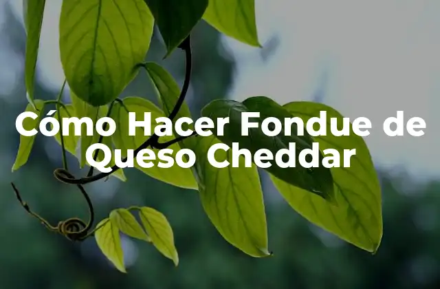 Cómo Hacer Fondue de Queso Cheddar