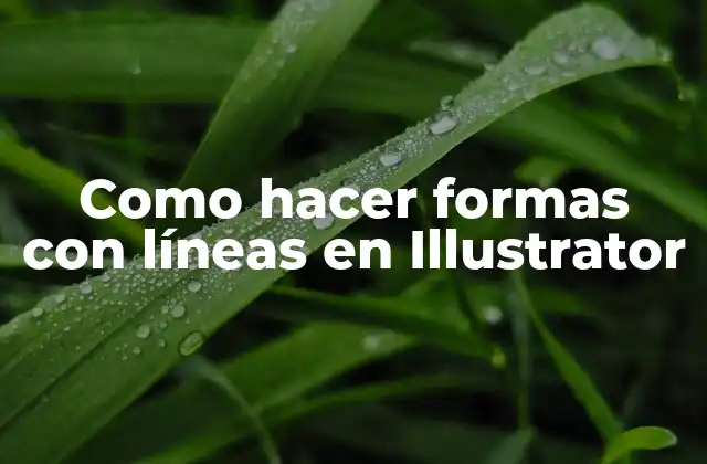 Como Hacer Formas con Líneas en Illustrator 2 Crear formas con líneas en Illustrator