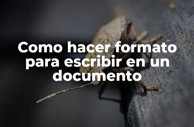 Como Hacer Formato para Escribir en un Documento