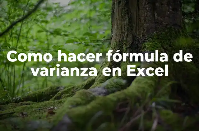 Como Hacer Fórmula de Varianza en Excel