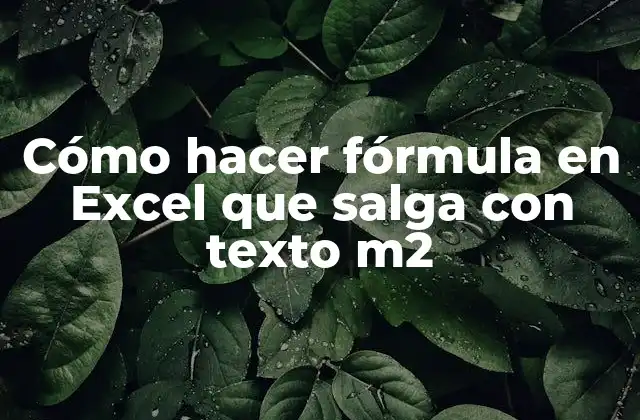 Cómo Hacer Fórmula en Excel que Salga con Texto M2