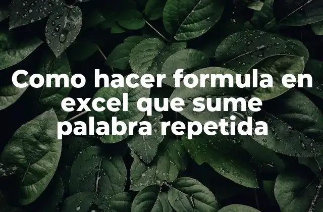 Como Hacer Formula en Excel que Sume Palabra Repetida