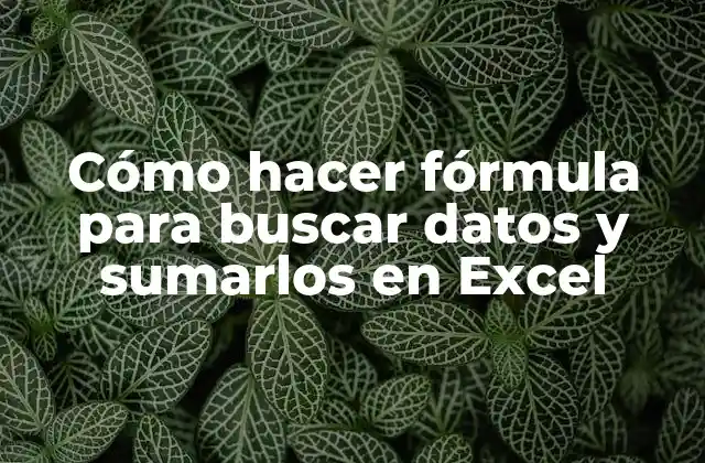 Cómo Hacer Fórmula para Buscar Datos y Sumarlos en Excel 2 Cómo hacer fórmula para buscar datos y sumarlos en Excel