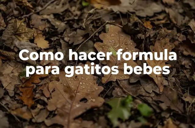 Como Hacer Formula para Gatitos Bebes