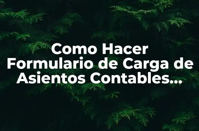 Como Hacer Formulario de Carga de Asientos Contables Filetype Xls