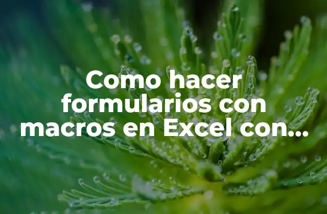 Como Hacer Formularios con Macros en Excel con Folio