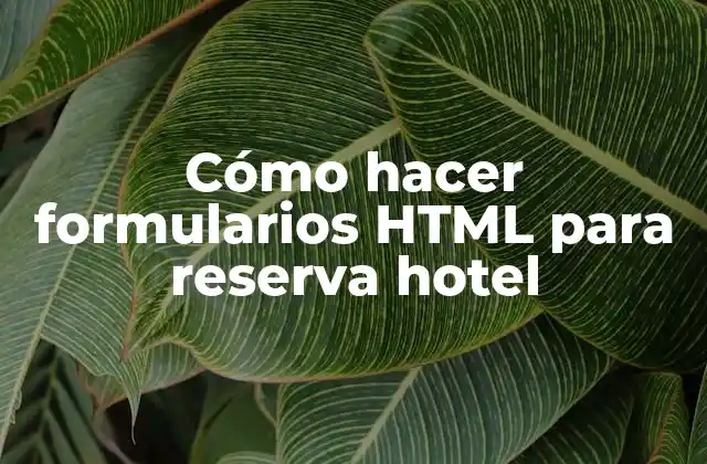 Cómo Hacer Formularios Html para Reserva Hotel
