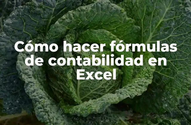 Cómo Hacer Fórmulas de Contabilidad en Excel