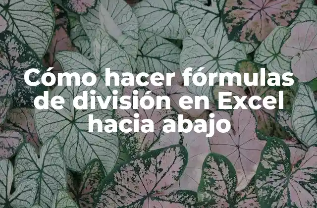 Cómo Hacer Fórmulas de División en Excel hacia Abajo