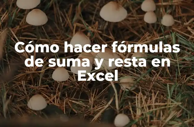 Cómo Hacer Fórmulas de Suma y Resta en Excel