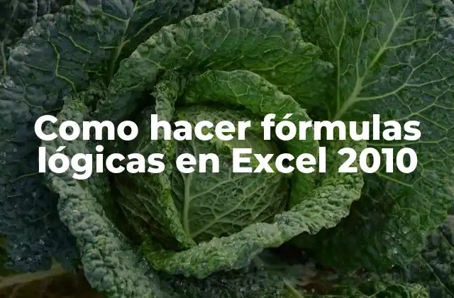 Como Hacer Fórmulas Lógicas en Excel 2010