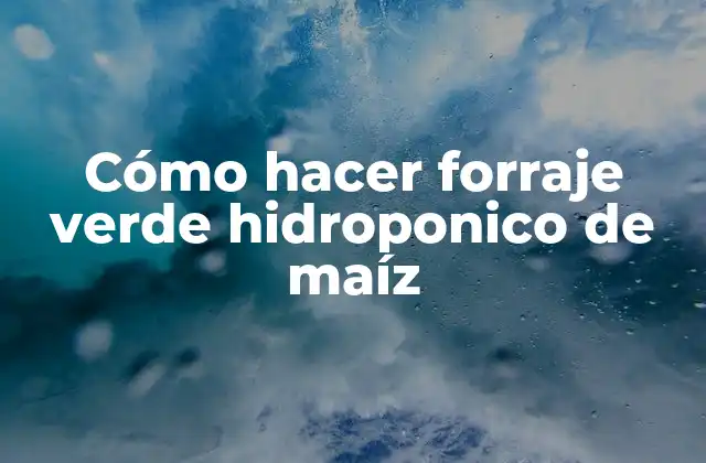 Cómo Hacer Forraje Verde Hidroponico de Maíz