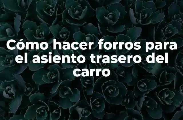 Cómo Hacer Forros para el Asiento Trasero Del Carro