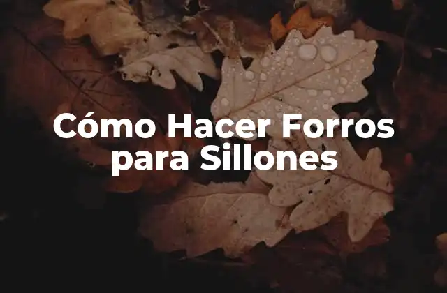 Cómo Hacer Forros para Sillones