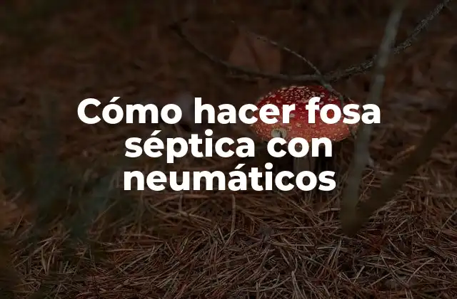 Cómo Hacer Fosa Séptica con Neumáticos