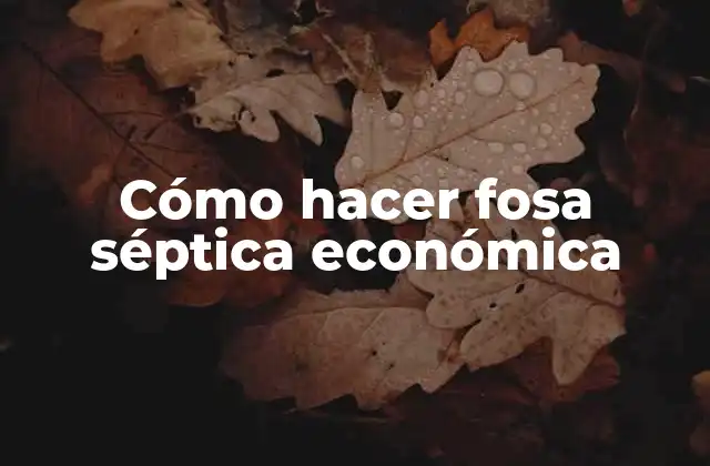 Cómo Hacer Fosa Séptica Económica