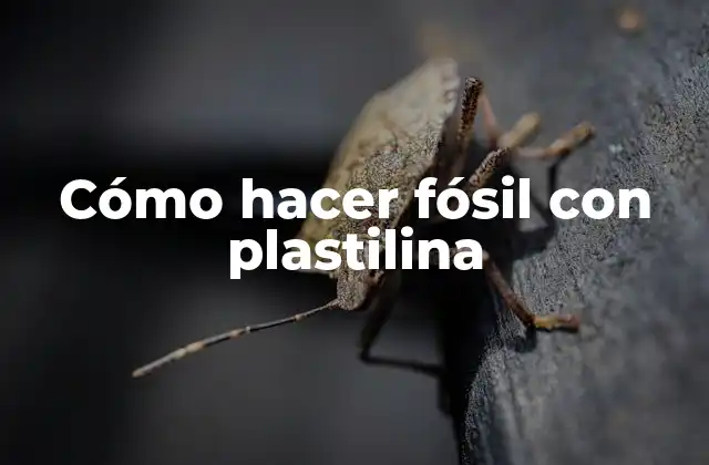 Cómo Hacer Fósil con Plastilina