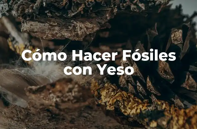 Cómo Hacer Fósiles con Yeso