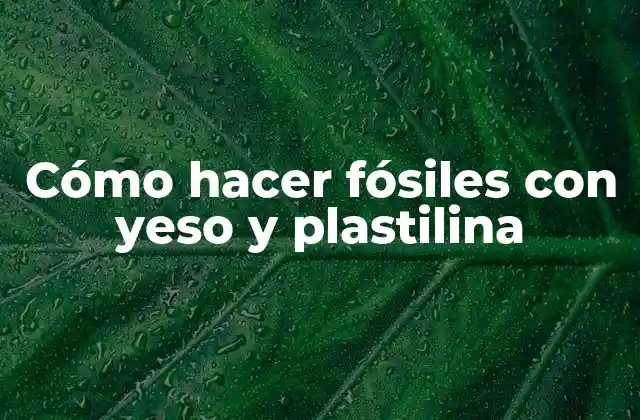 Cómo Hacer Fósiles con Yeso y Plastilina