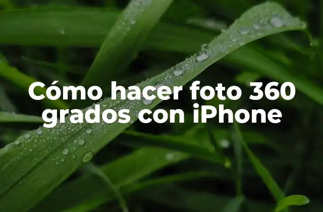 Cómo Hacer Foto 360 Grados con Iphone