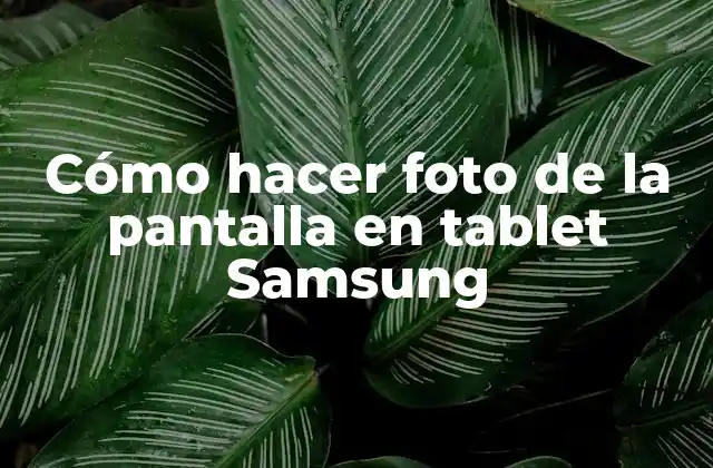 Cómo Hacer Foto de la Pantalla en Tablet Samsung
