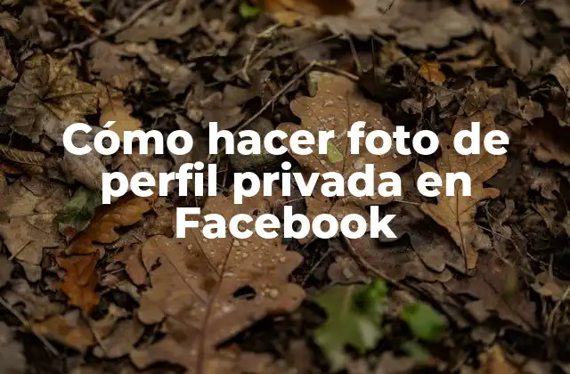 Cómo Hacer Foto de Perfil Privada en Facebook