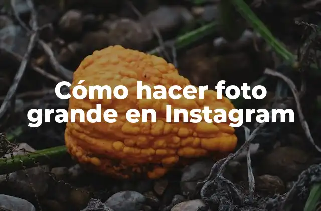 Cómo Hacer Foto Grande en Instagram