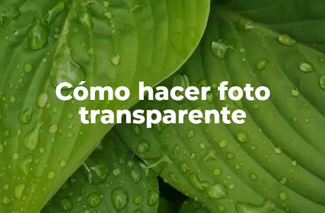 Cómo Hacer Foto Transparente