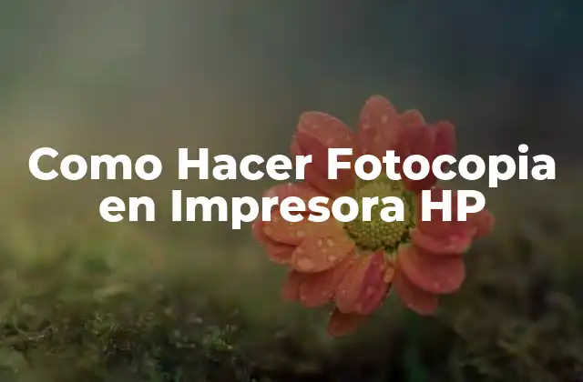 Como Hacer Fotocopia en Impresora Hp